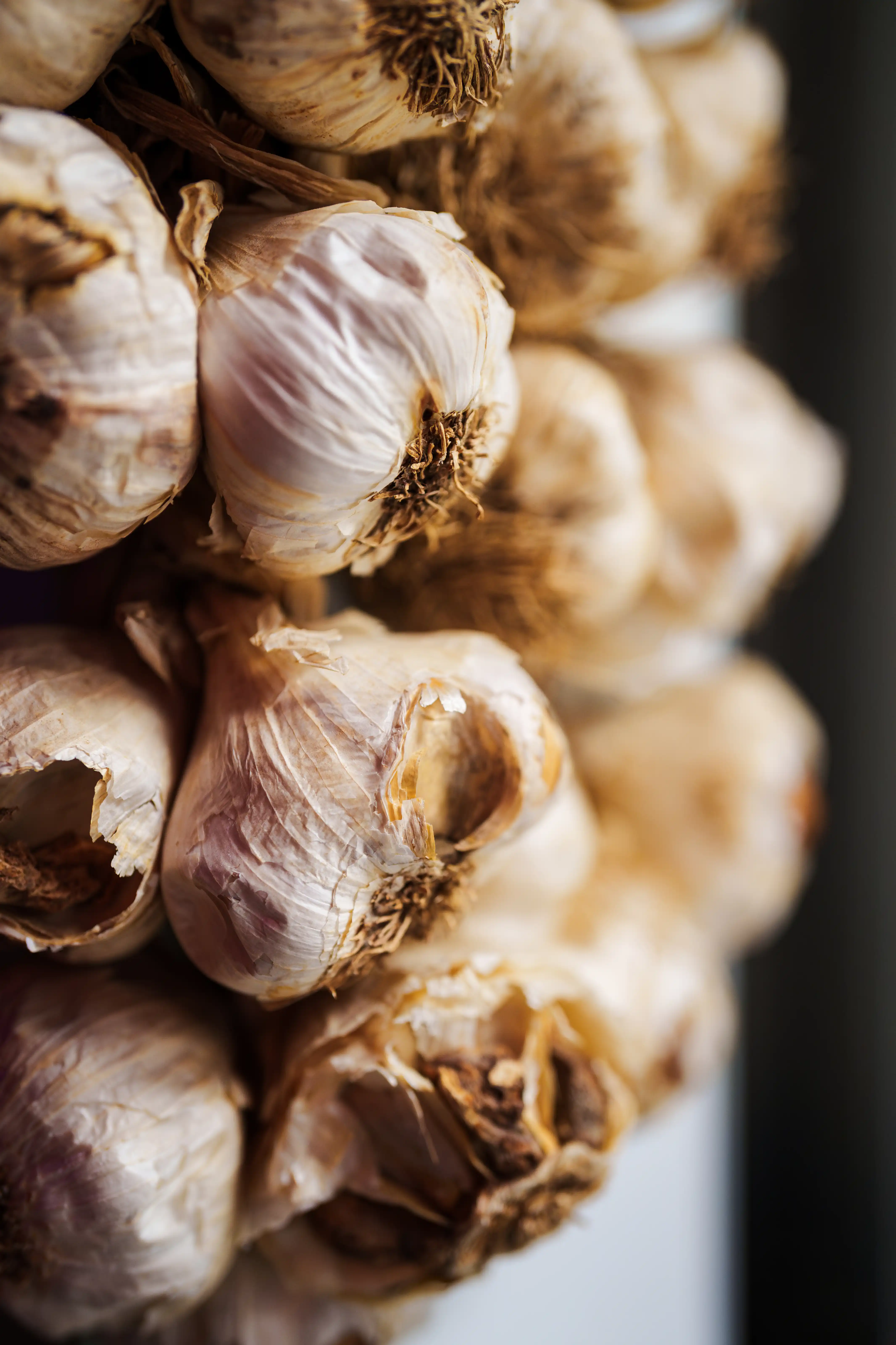 Mission Nights Verbindungen